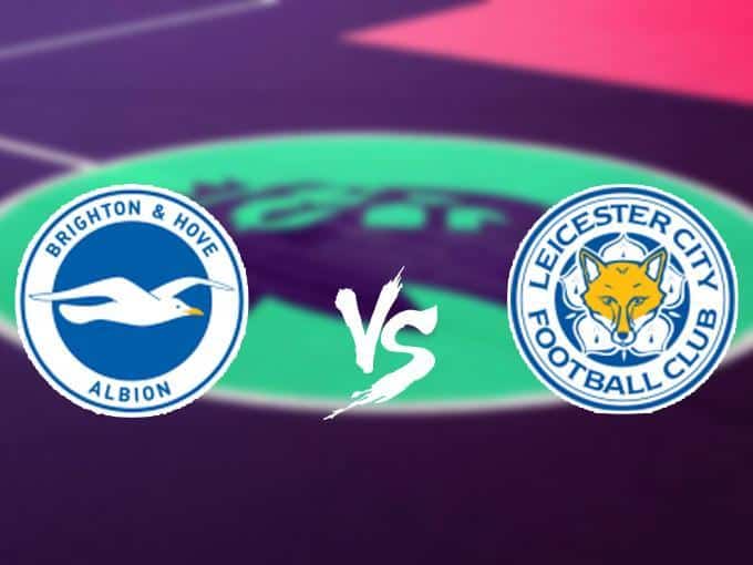 Soi kèo nhà cái Brighton & Hove Albion vs Leicester City, 23/11/2019 - Ngoại Hạng Anh