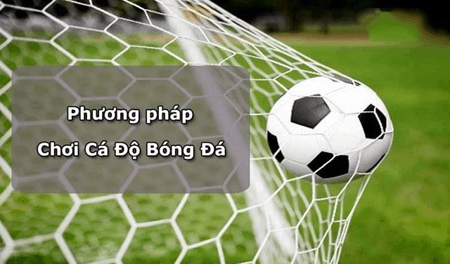 Chiến thắng cá độ bóng đá với 2 phương pháp cược