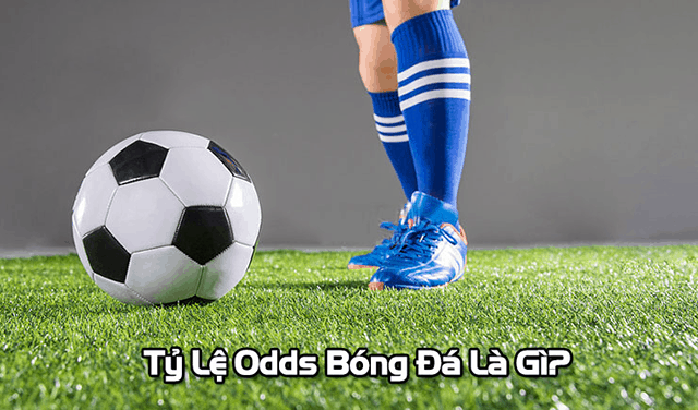 Tìm hiểu về thuật ngữ Odds trong cá cược bóng đá